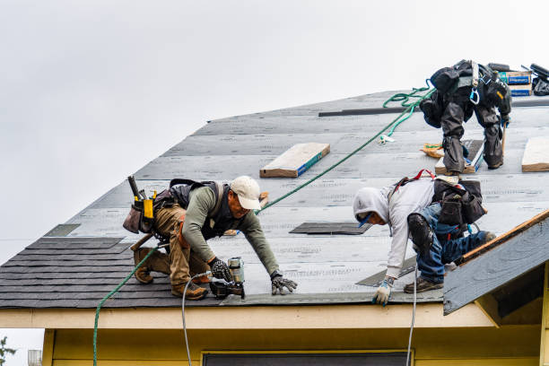 Professional Roof Installation technician working in Doucette, TX